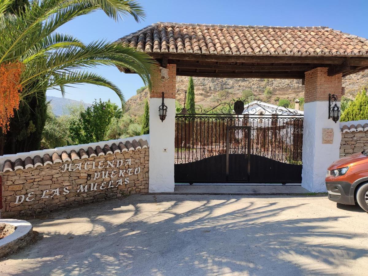 Hacienda Puerto De Las Muelas Ронда Экстерьер фото