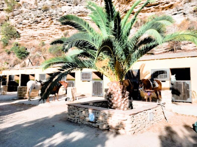 Hacienda Puerto De Las Muelas Ронда Экстерьер фото
