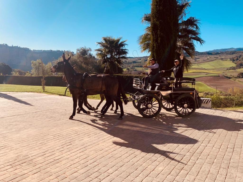 Hacienda Puerto De Las Muelas Ронда Экстерьер фото